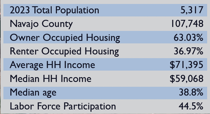 socioeconomic information for Holbrook az